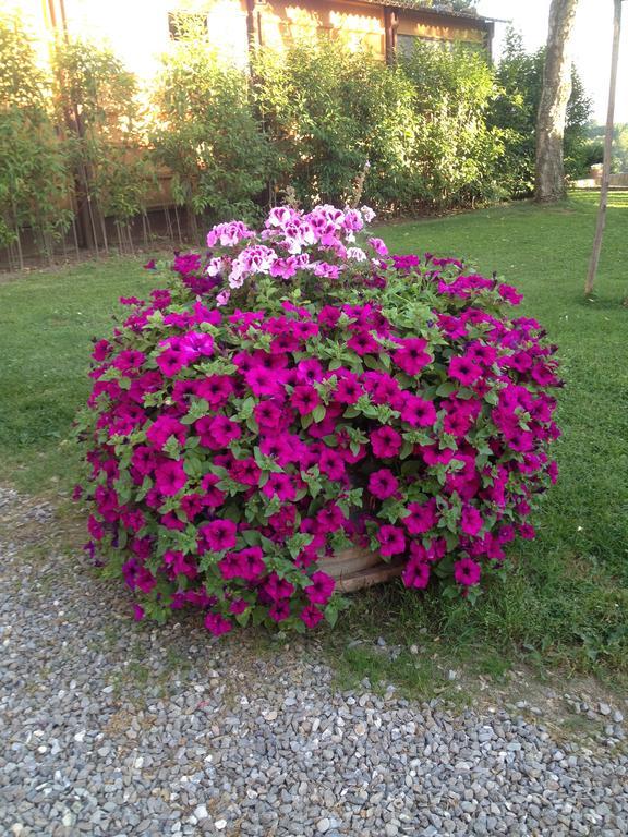 Fattoria Armena Villa บูอนคอนเวนโต ภายนอก รูปภาพ